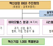 BIG3 산업 세계 1위 경쟁력 확보..혁신기업 국가대표 1000개 육성