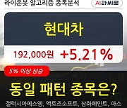 현대차, 전일대비 5.21% 상승.. 이 시각 거래량 403만8210주