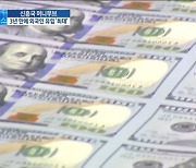 "이번엔 다르다?"..3년만에 다시 신흥국 '머니무브'