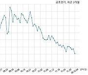 금호전기, 특별관계자 지분변동