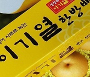 전남 '영암 이기열 배' 과일산업대전서 최우수상