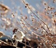 [오늘의 날씨] 부산·경남(5일, 토)..대체로 맑음