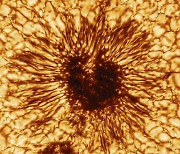 세계 최대 망원경에 포착된 태양 흑점 생생한 모습