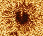 시험가동 세계 최대 망원경에 속살 드러낸 태양 흑점