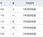 성남 금곡동 금곡청솔마을주공9단지 36㎡ 5억4000만원에 거래