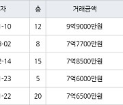 성남 서현동 서현효자촌그린타운 84㎡ 9억9000만원에 거래