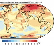 올해 전 세계 기온 역대 3위 이내..국내에선 기상이변 속출