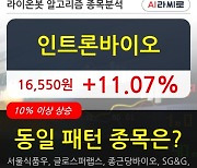 인트론바이오, 전일대비 11.07% 상승중.. 최근 주가 반등 흐름