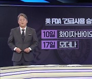 美 FDA, 이르면 이번주 화이자 백신 승인