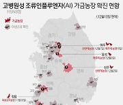 창원 주남저수지 야생조류서 고병원성 AI 추가 확진