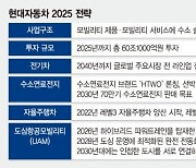 '3대 축'에 5년간 60조1000억 투자.. '수소경제 주도권' 쥔다 [현대차 '뉴 2025 전략']