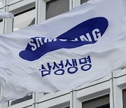 금융그룹 '집중위험 평가' 강화, 삼성생명 등급에 영향 미칠까