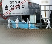 전국 7곳서 고병원성 AI..나주서 또 의심 신고