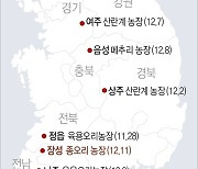 [그래픽] 조류인플루엔자(AI) 발생 농장 현황