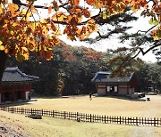 [가보자! 경기북부]조선왕릉, 여백·여유 담은 숲길을 품다