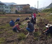 사회적 농업이 치료약..경남도, 정신장애인 재활프로그램 '성과'