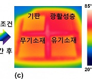 전자소자 과열현상 해결..'페로브스카이트 태양전지' 성능 3배↑