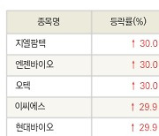 [fnRASSI]오늘의 상한가, 지엘팜텍 30.0% ↑