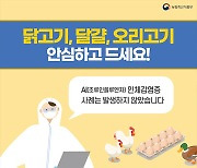 닭고기·달걀·오리고기 안심하고 드세요!