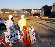 충남서도 고병원성 조류인플루엔자 발생