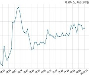 세코닉스 106억원 규모 채무보증 결정