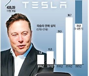 [자이앤트] 거침없는 테슬라의 질주..서학개미 또 웃었다