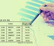 '배당 매력'..보통주보다 비싼 우선주