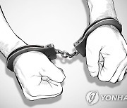 모친 때리는 30대 아들 목 졸라 살해하려 한 아버지