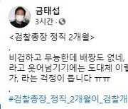 금태섭 "비겁하고 무능한데 배짱도 없는 결정"