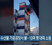 사하구 수산물 가공공장서 불..10여 명 대피 소동