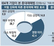 "중대재해법은 기업연좌제" 30개 경제단체 한자리서 성토