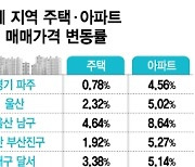 외지인 원정매매 휩쓴 파주·창원·천안 등 규제지역 지정 '임박'