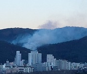 경주 천북면서 산불발생, 1시간여 만에 큰 불길 잡아