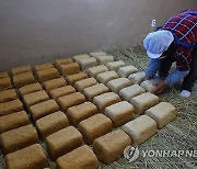 전통 메주 만드는 손길