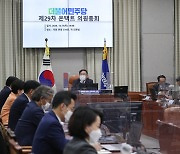 더불어민주당 제29차 온택트 의원총회