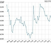 동일고무벨트 주당 100원 현금 배당 결정