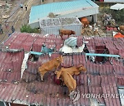 광주전남기자협회, '지붕 위에 올라간 소' 등 기자상 20편 선정