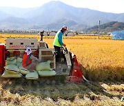 국제 곡물가 상승, 환율하락이 방어..국내 시장 영향 '제한적'