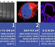 코로나19·독감 동시 치료제 개발에 도전장