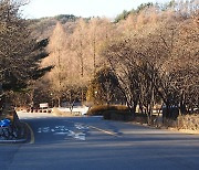 [포토친구] 보문산 공원 겨울나기