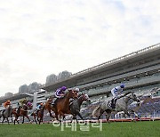 [경마이야기]홍콩컵·재팬컵, '위드코로나' 시대 말산업 돌파구