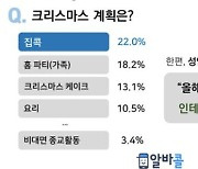 '크리스마스 나홀로 집에' 3명 중 2명..홈 트리는 꾸밀 것