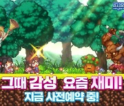 [이슈] 스카이엔터테인먼트, 수집형 RPG '이터널 판타지아' 사전예약