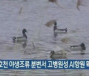 미호천 야생조류 분변서 고병원성 AI항원 확인