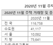 과열 양상 나타낸 지방 주택거래량 큰폭으로 늘어