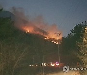 경주시 안강읍 일원서 6시간째 산불 진화 중.."100여명 투입"