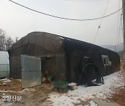 Came to South Korea Looking for a Job, But Died in a Plastic Greenhouse