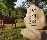 '소똥령', '멍에실'..소와 관련된 지명 전국 731곳