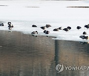 햇살이 좋아