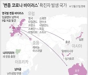 당국 "영국발 입국 사망자 변이바이러스 여부 빠르면 금주 확인"(종합)